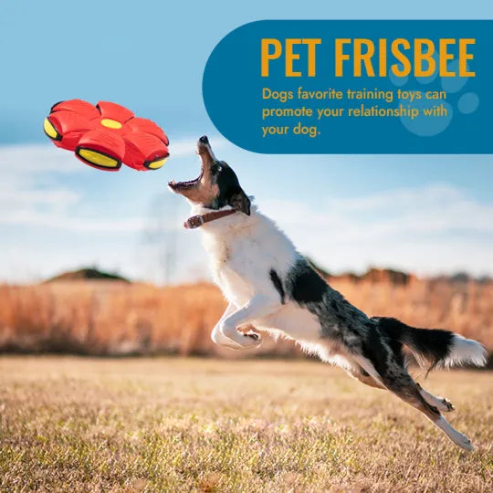 Pet Flying Saucer Ball - Happy Paws™ 