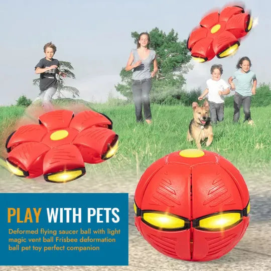 Pet Flying Saucer Ball - Happy Paws™ 